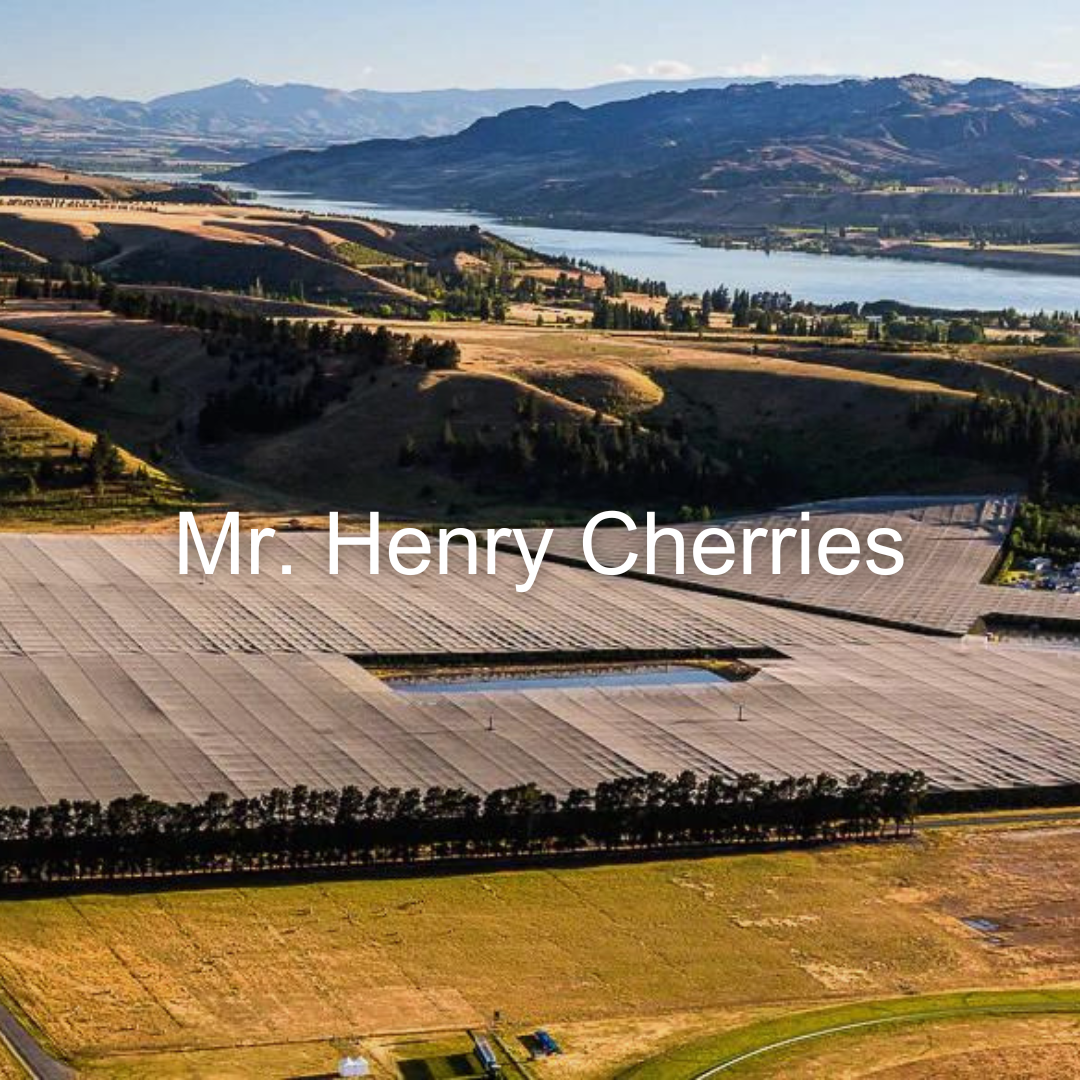 Mr. Henry Cherries