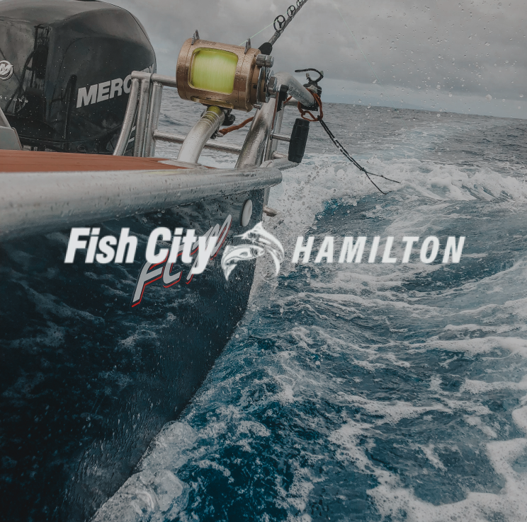 Fish City Hamilton