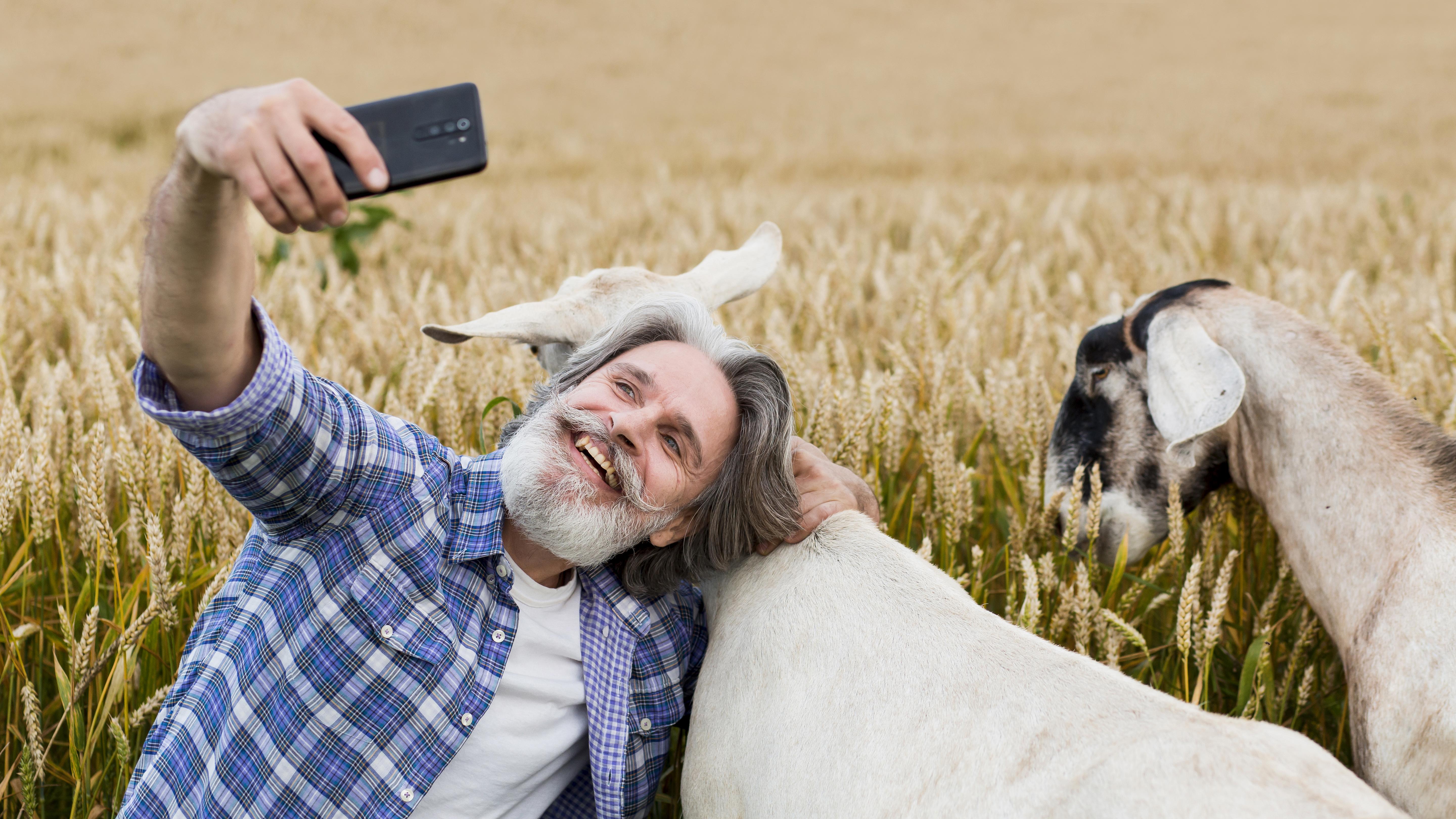 More Mobile Phones Than Sheep in New Zealand.