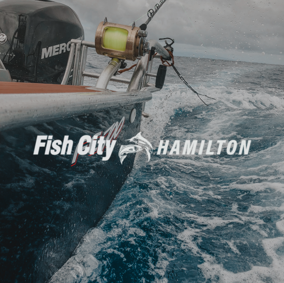 Fish City Hamilton logo and background