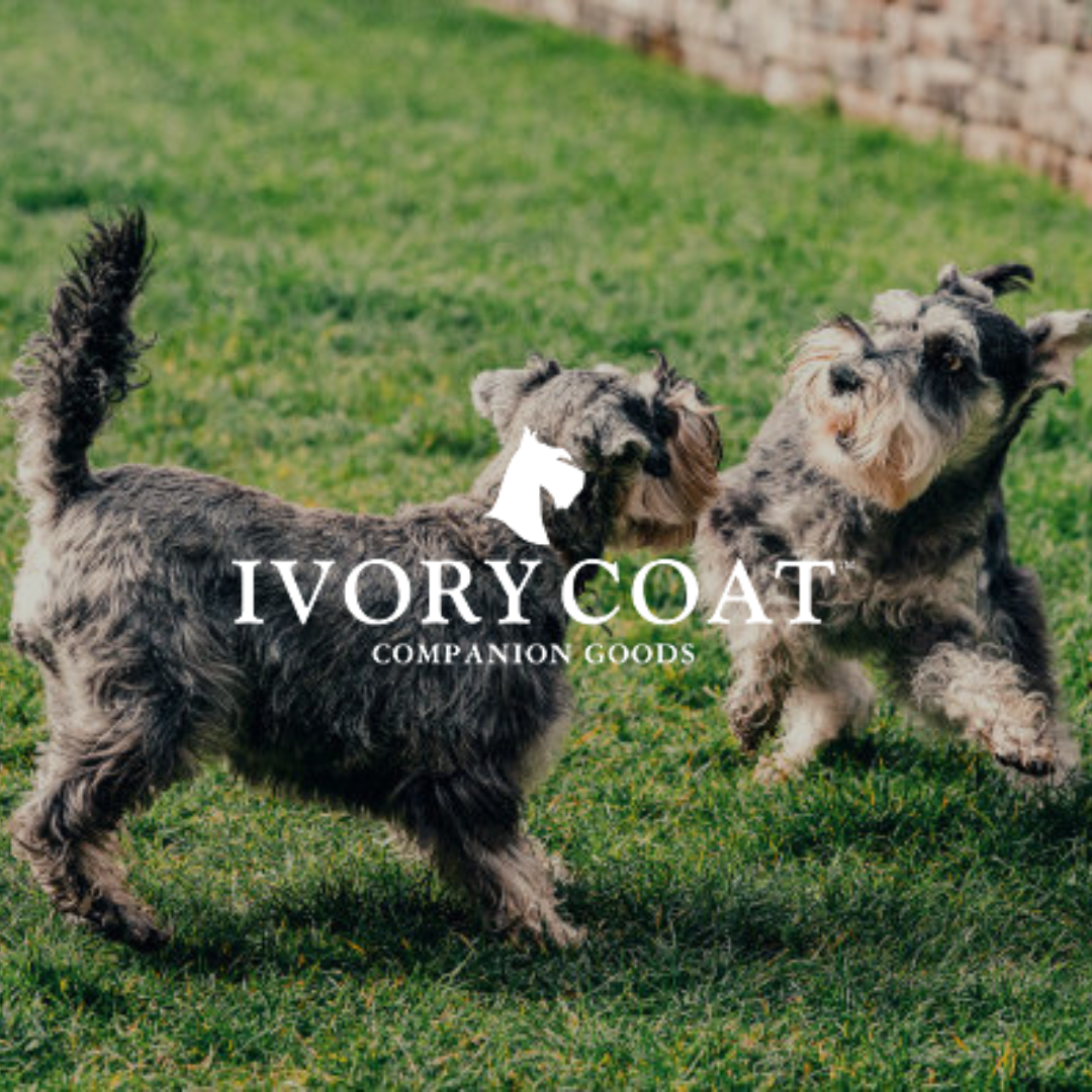 Ivory Coat