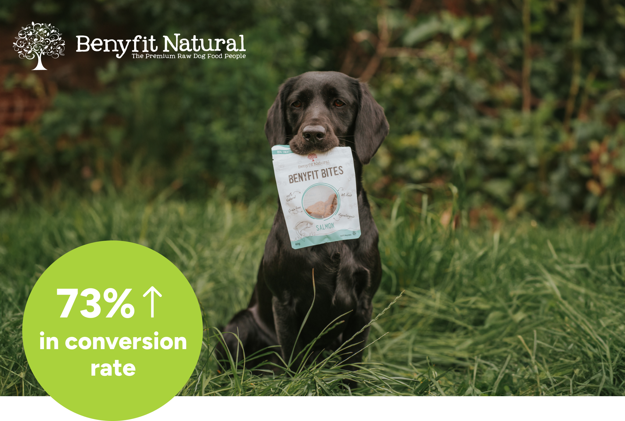 Benyfit natural 73% increase in conversion rate 