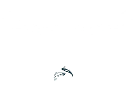 Hunting and Outdoors
