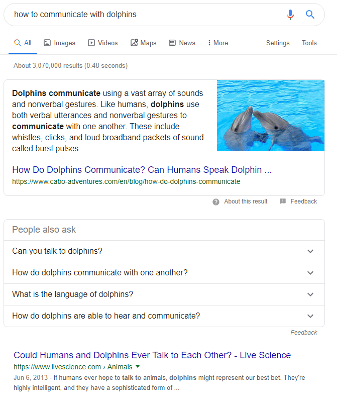 Dolphins Communicate Top Google Search Results