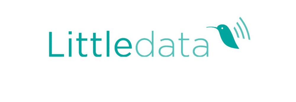 little data logo